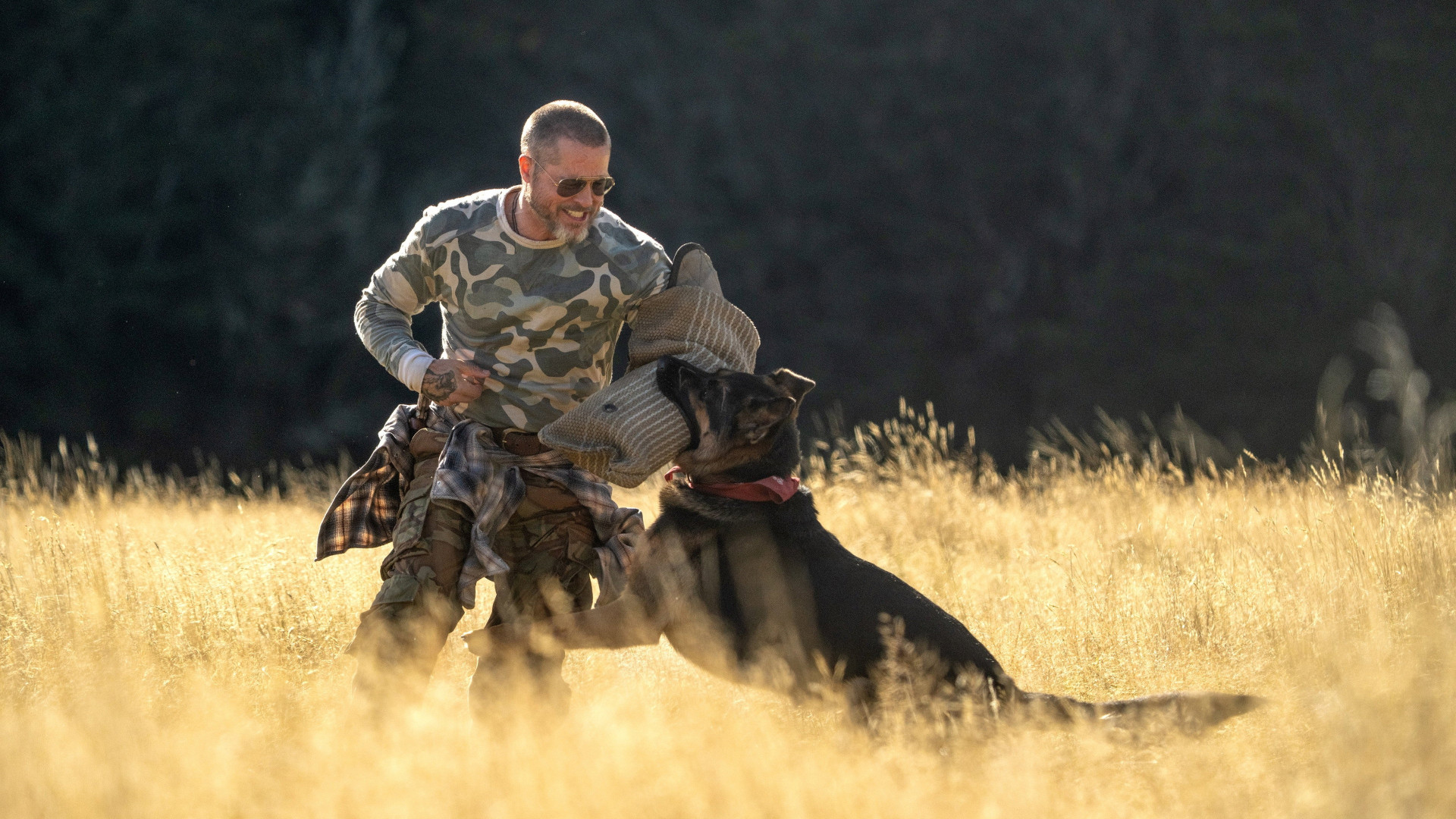 Heart of the Beast - image 10