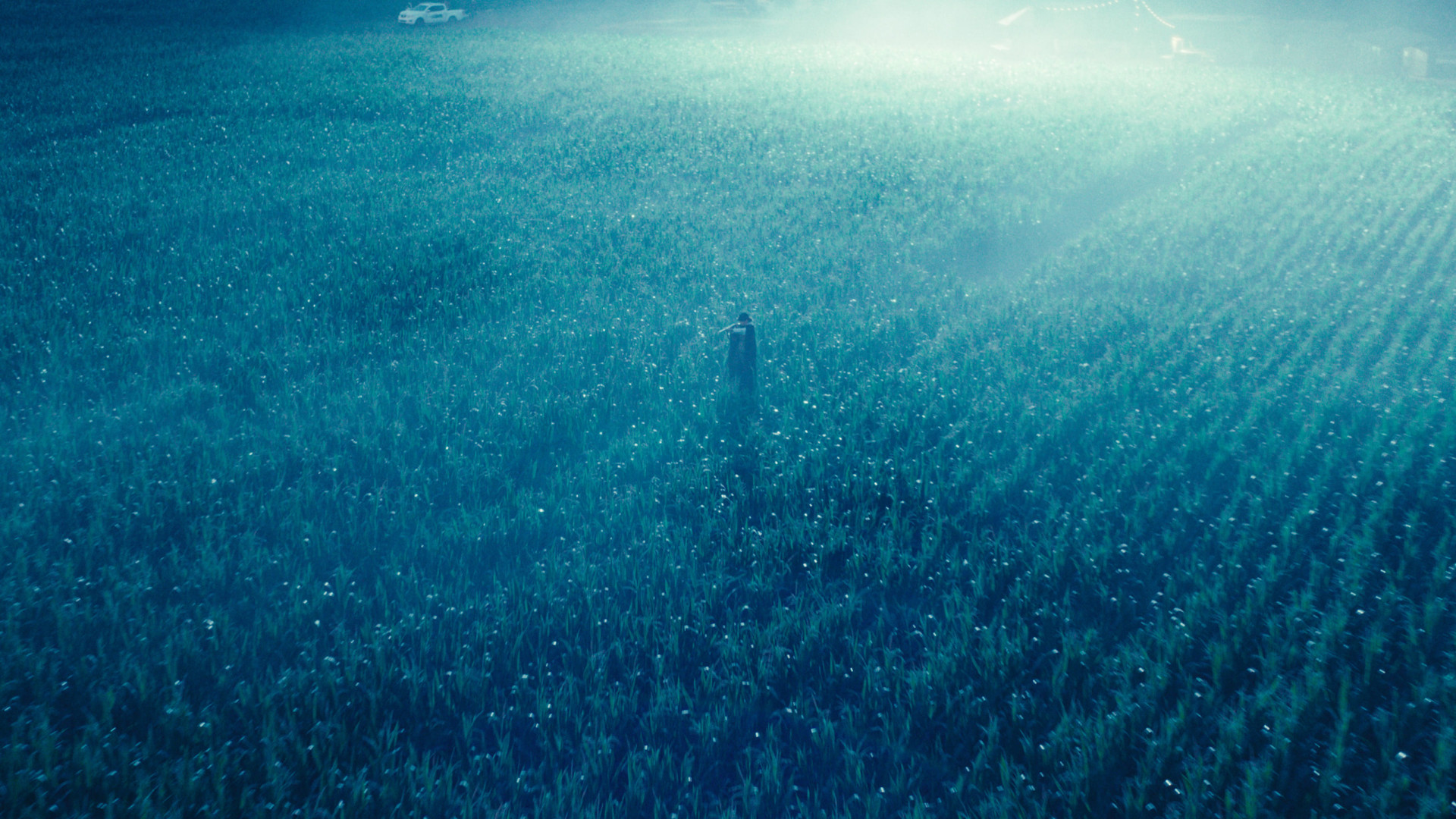 Le Règne animal - image 31
