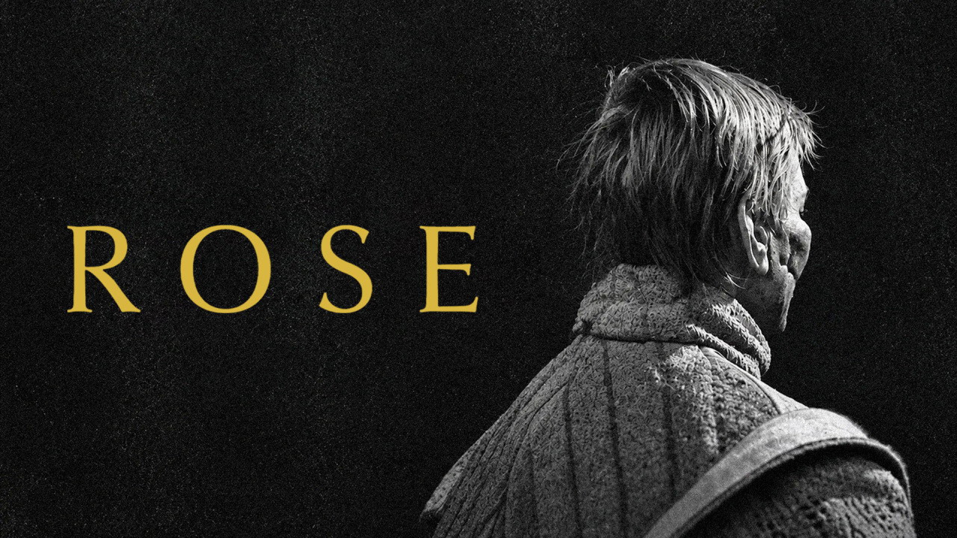 Rose - image 4