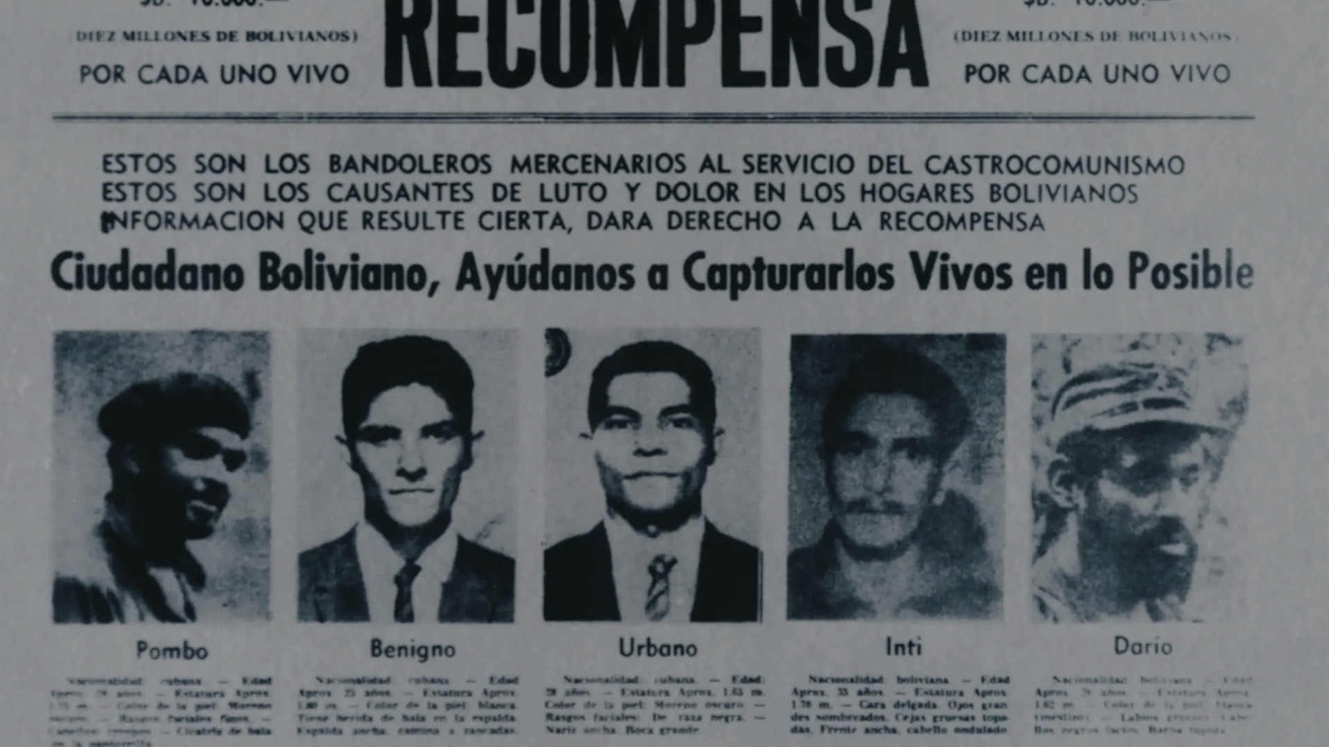 Les Survivants du Che - image 2