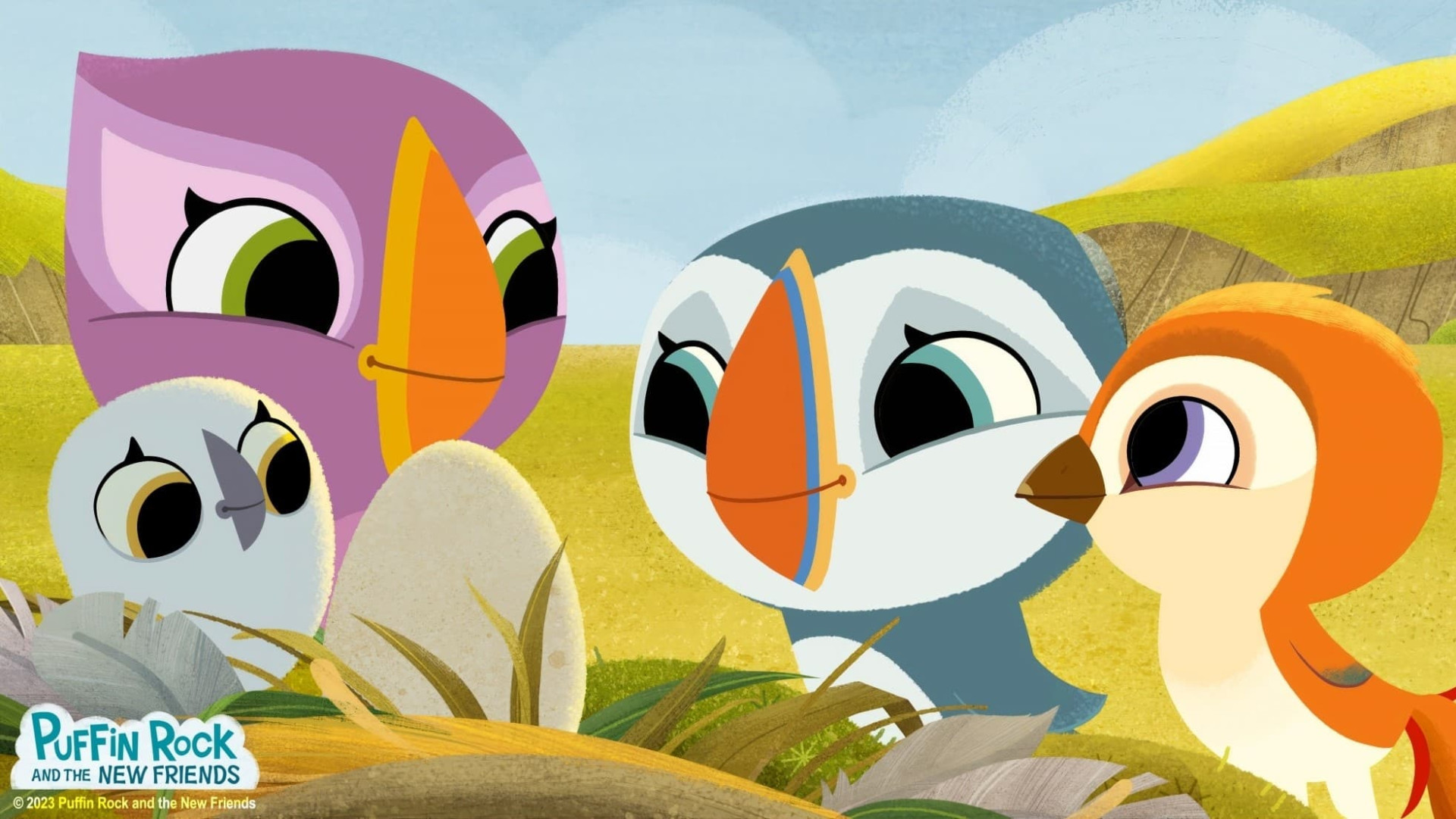 Nouveaux copains à Puffin Rock - image 4