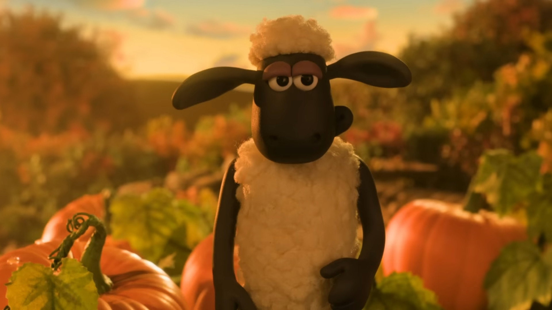 Shaun le Mouton : La Bêêête d'Halloween - image 23