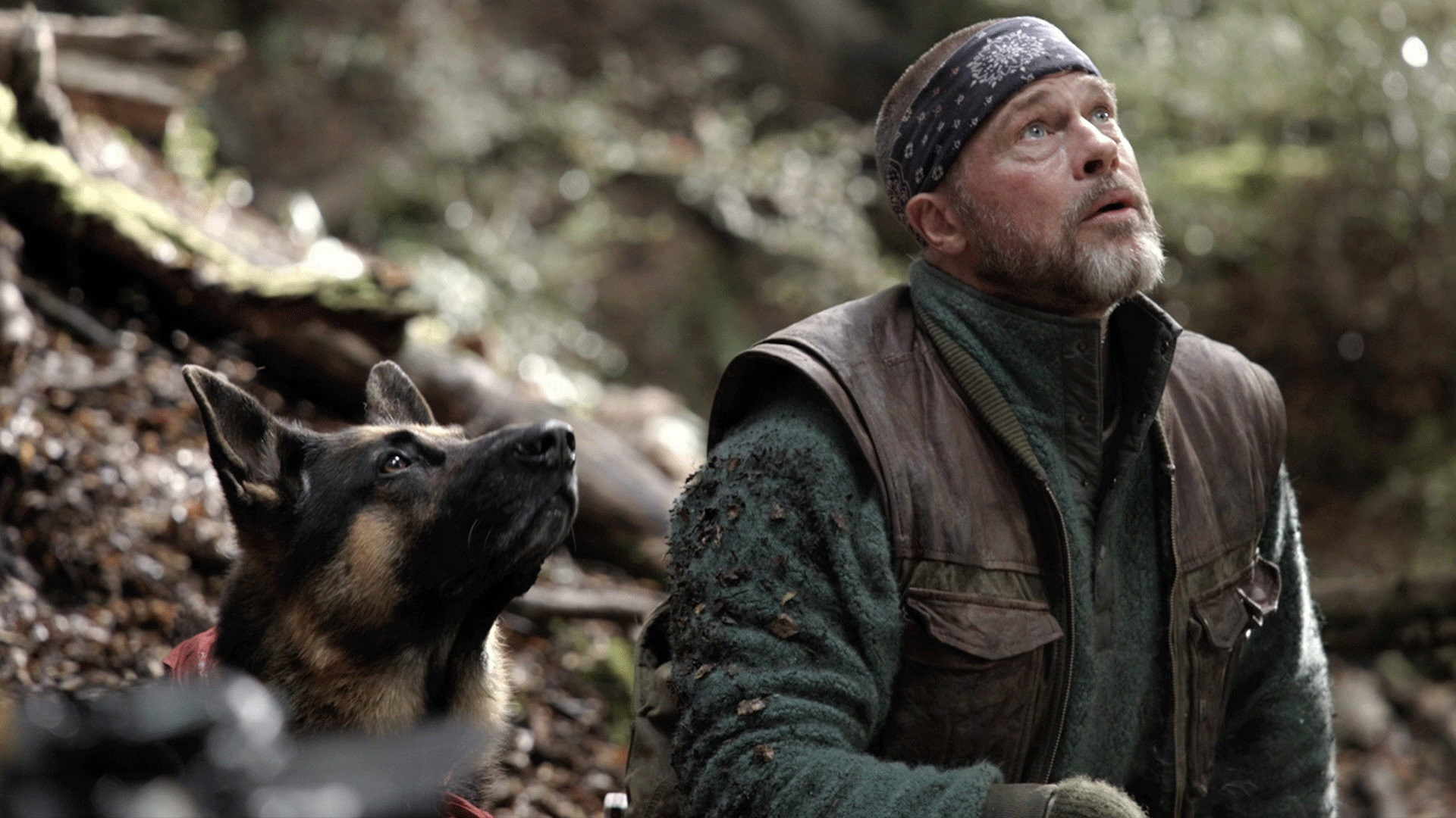 Heart of the Beast - image 17