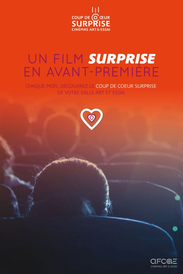 2026 11 COUP DE COEUR SURPRISE AFCAE 2
